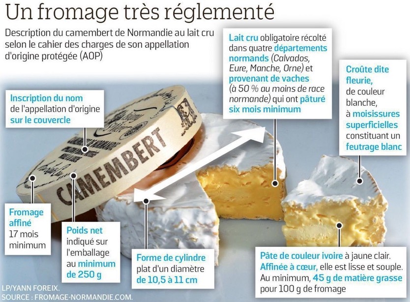 1-cahier des charges