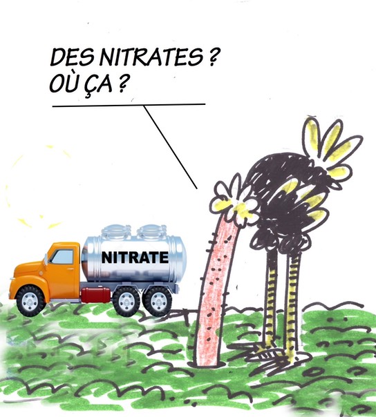 1-des-nitrates-ou-ça