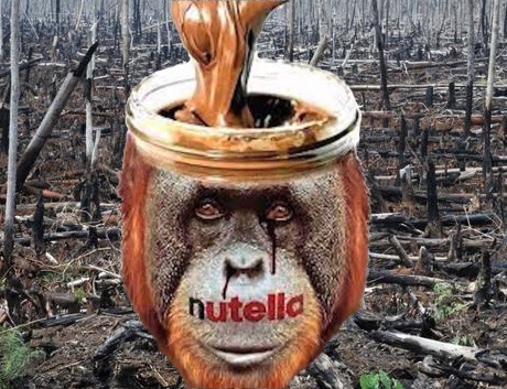 1-foret-orang-nutella