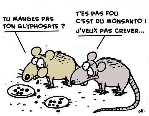 1-rats-glyphosate