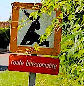 1-Route-buissonnière