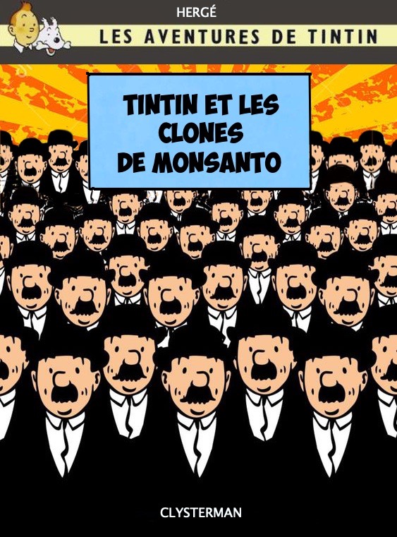 1-Tintin et les clones copie