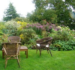 Un coin du jardin