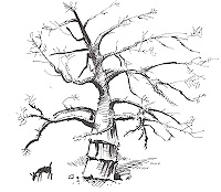 Baobab2.Ende.01.05