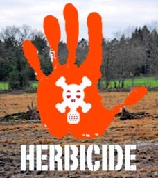 Acheres-herbicide