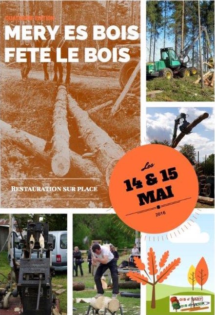 Affiche-fte du bois 2016