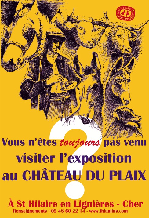 affiche2017-expo-Plaix