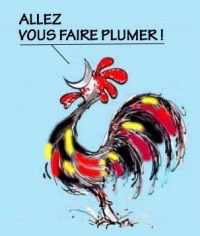 allezvous-faireplumer-200