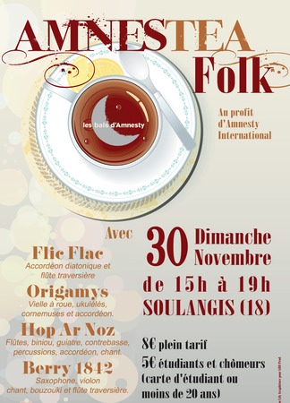 Annonce Amnestea Folk 2014