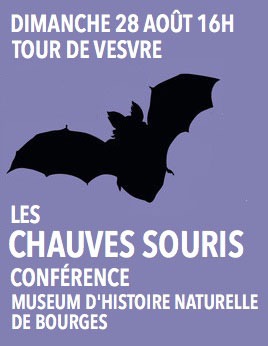 annonce-chauves-souris