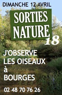 annonce-nature18-oiseaux