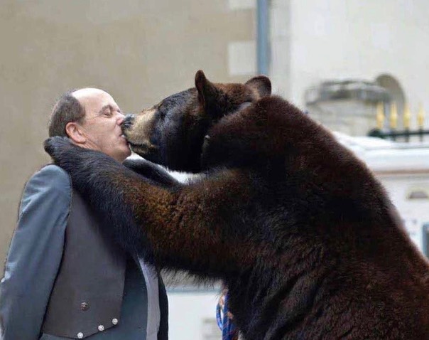 Autissier-et-ours-2