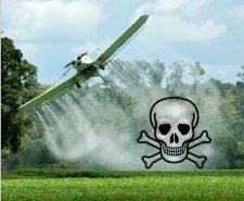 Cher. Épandages aériens de pesticides, attention !