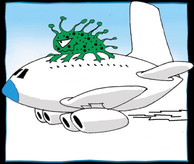 avion virus