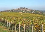 Berry.Sancerre.panorama