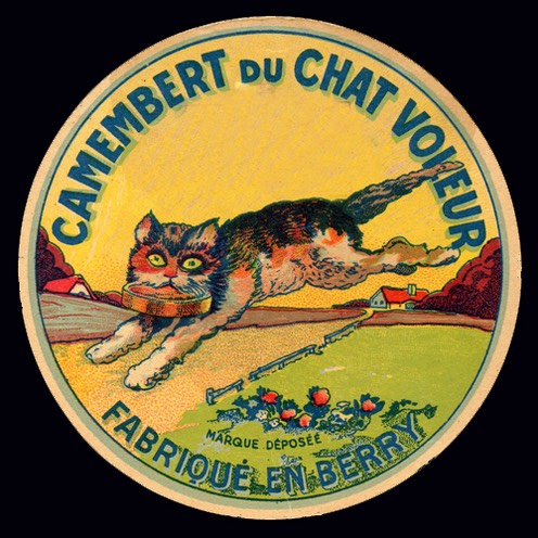 Camembert-chat-Voleur