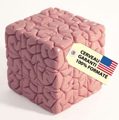 Cerveau-garanti-formate-100%