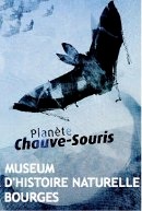 expo-chauve-souris-130