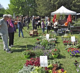 Fete-des-ouches-2014-34