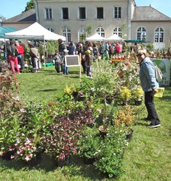 Fete-des-ouches-2014-44