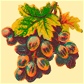 grappeChromo2_2