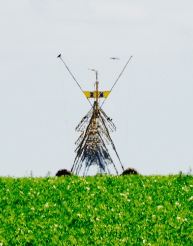 Irrigation-martien. Juin 2015