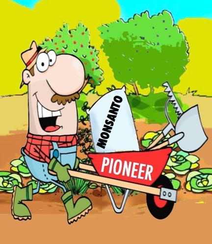 jardinier-pioneer-monsanto