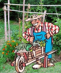 Les légumes et petits fruits de Pascal le jardinier.