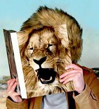 Lecture-lion