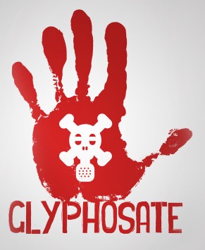 main-glyphosate