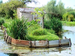 Marais de Bourges. Un autre joli coin.