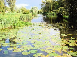 Au coeur des marais de Bourges.