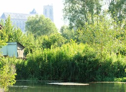 Marais de Bourges. Allez, une dernire fois, la cathdrale  cinq cent mtres.