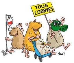 marche-cobayes-dessin