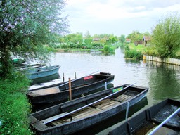 Sur les coulants des marais de Bourges.