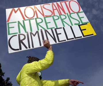 monsanto-criminel