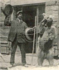 Musum d’histoire naturelle Bourges. Un montreur d’ours entre par effraction.