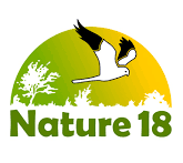 nature18