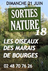 oiseaux-Bourges-marais