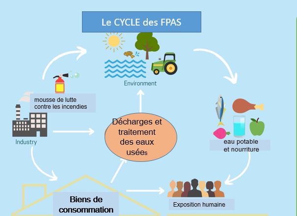 PFAS-aj