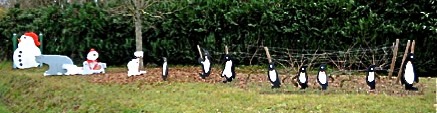 pingouins-pigny