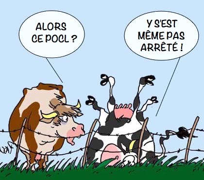 Pocl-vaches