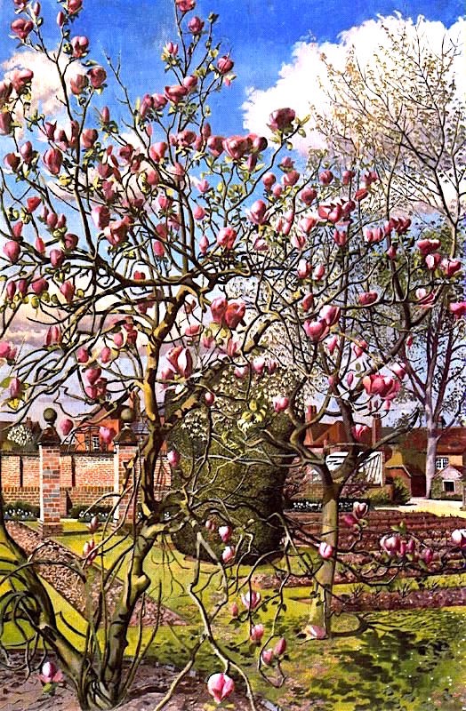 Printemps-Avril-Spencer-magnolia - copie 2