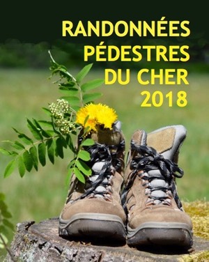 randonnees-pedestres-Cher-2015