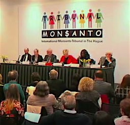 Rapport-Tribunal-Monsanto
