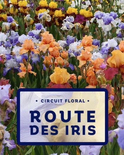 route-des-iris