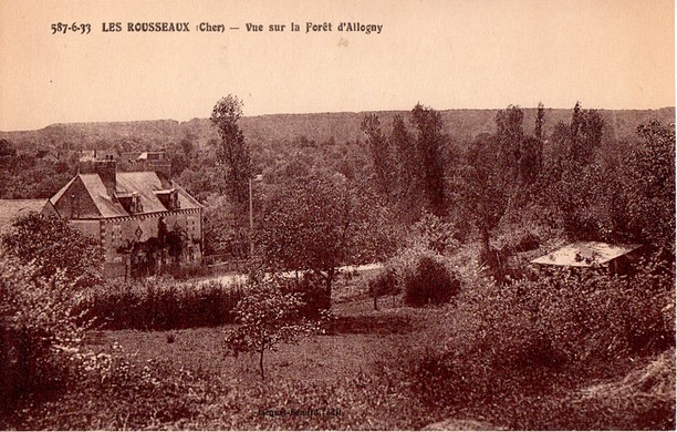 Saint Martin- Les Rousseaux- Vue sur la fort d'Allogny