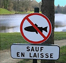 sauf-en-laisse