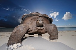 Bourges, Musum d'histoire naturelle. Exposition "Photographes de nature 2010".