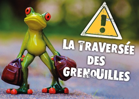 Traversee-Grenouille